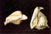 Two Shells Napoletano, Filippo
